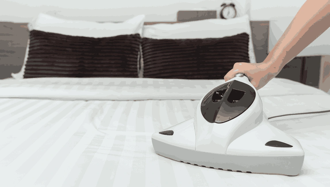 Professional Mattress Cleaning Wildwood